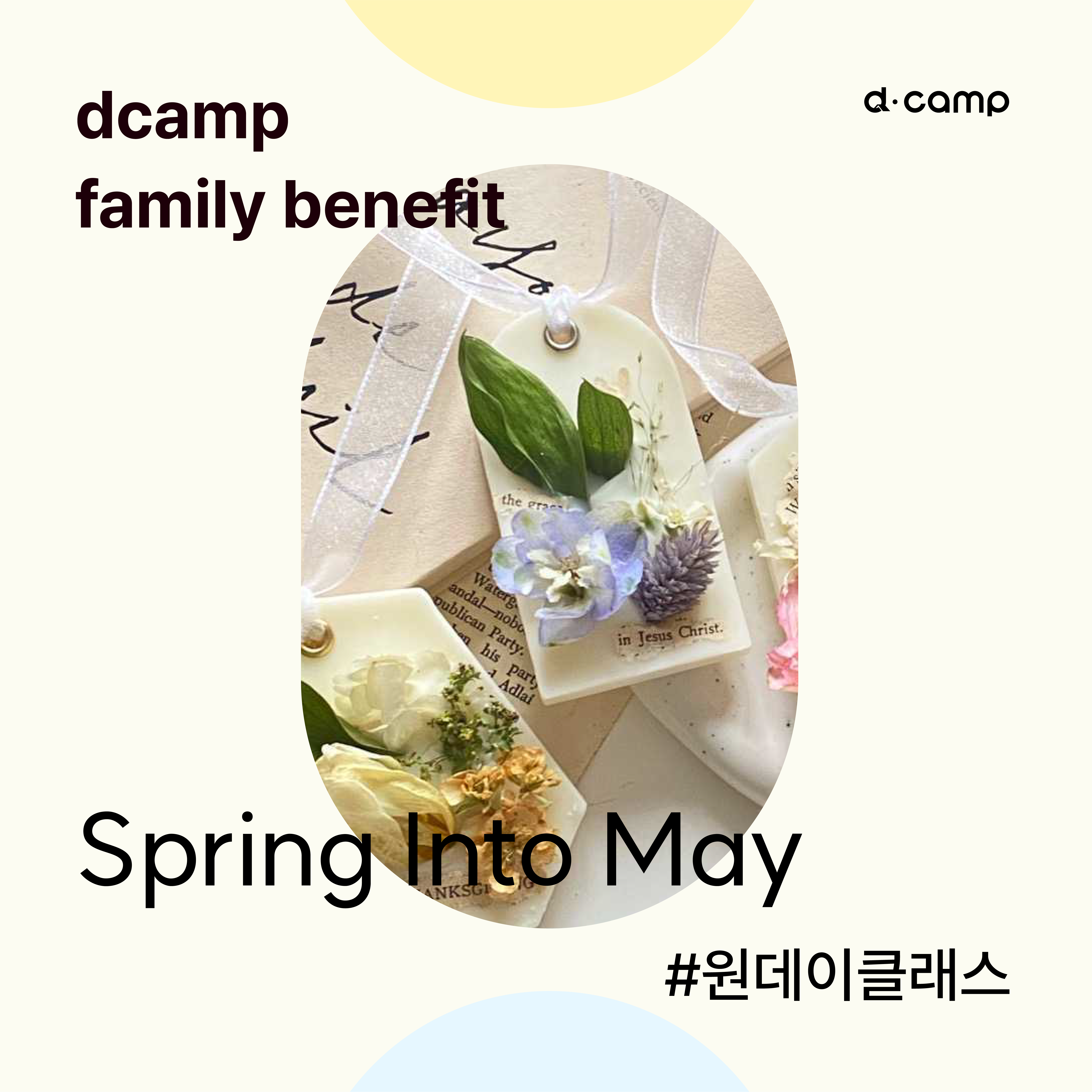 [선릉 l 5월] Spring Into May #원데이클래스 의 웹포스터